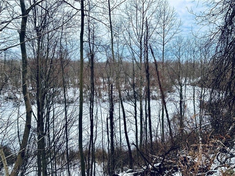 Auburn Road, Newbury, OH 44065 Photo 7