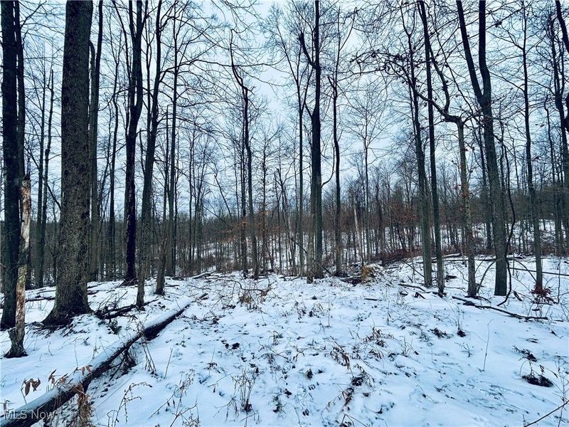 Auburn Road, Newbury, OH 44065 Photo 8