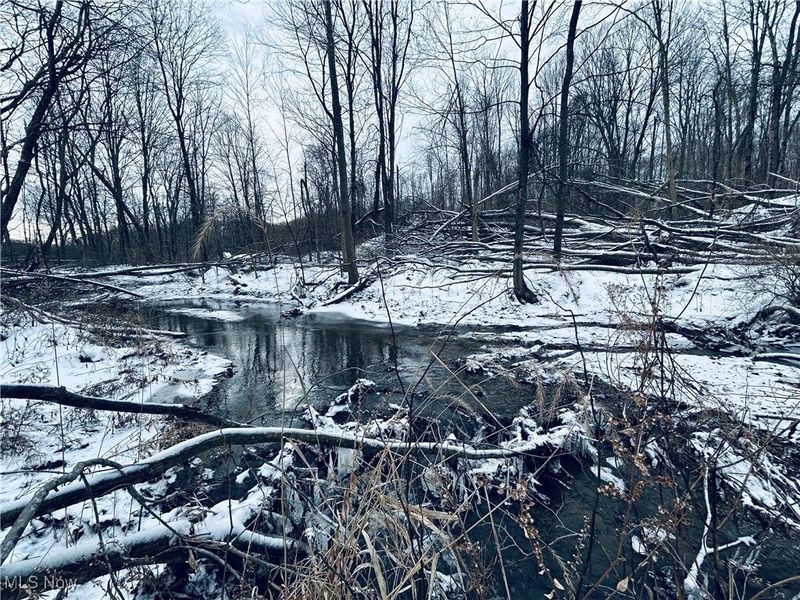 Auburn Road, Newbury, OH 44065 Photo 9