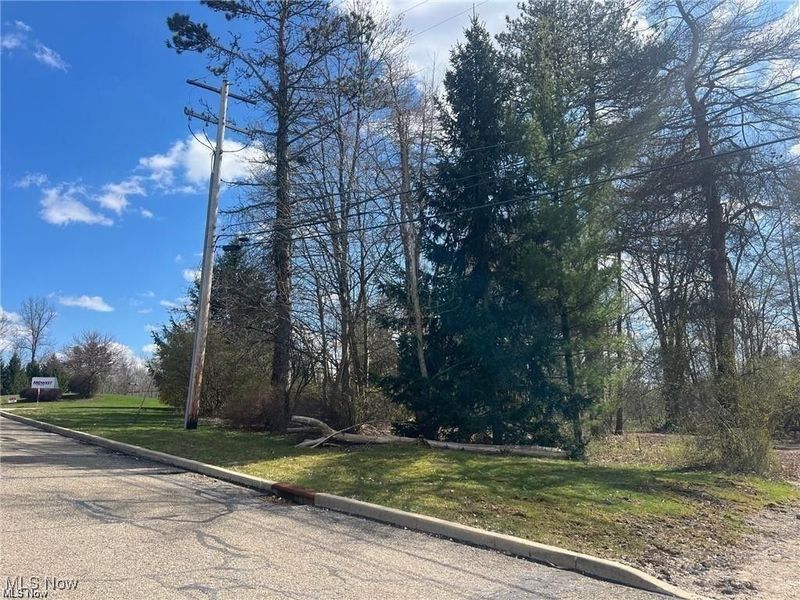 V/L Meadow Lane, Northfield, OH 44067 Photo 2