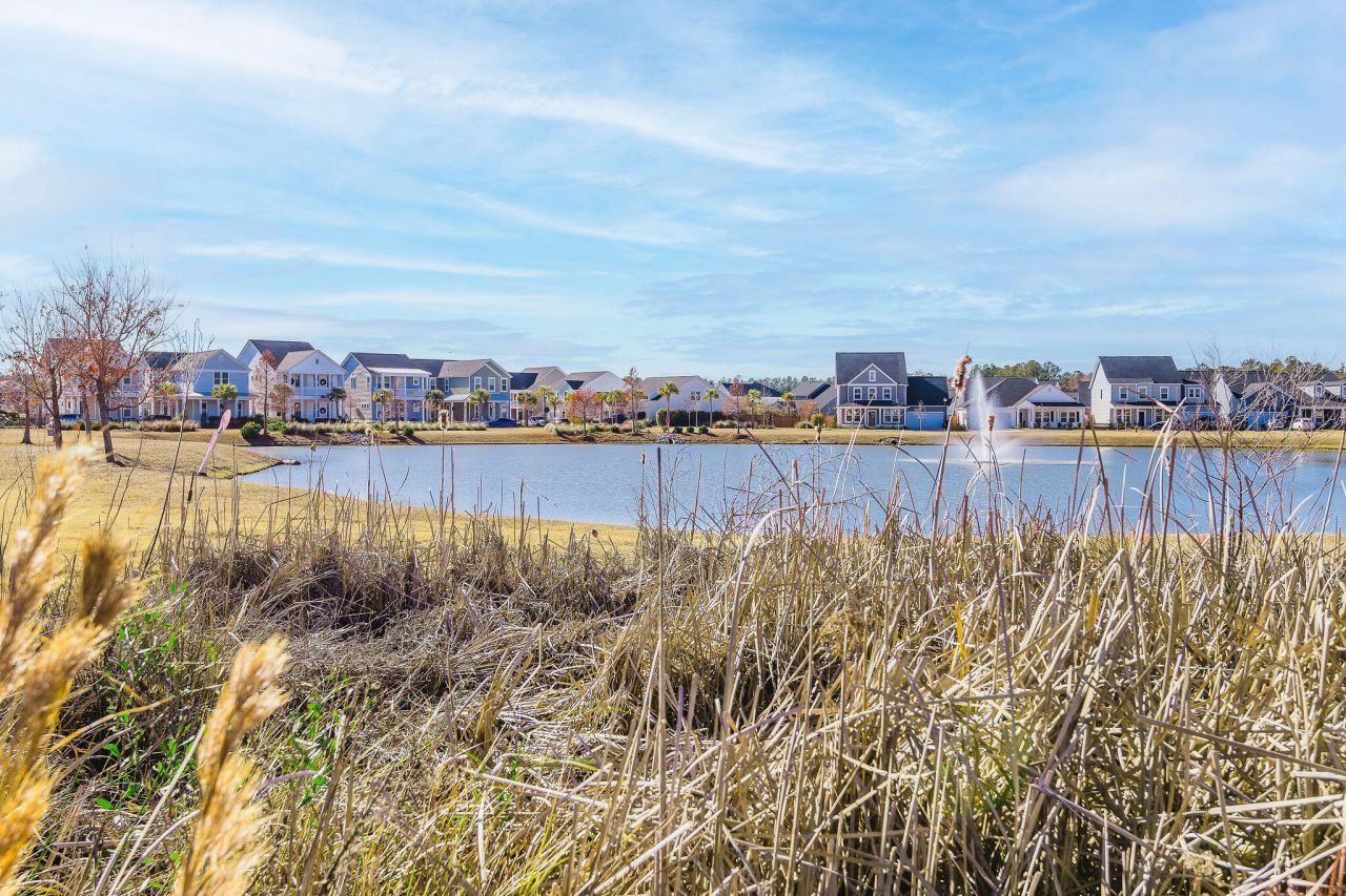 107 Garden Lily Lane Photo 4