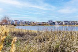 107 Garden Lily Lane photo 4