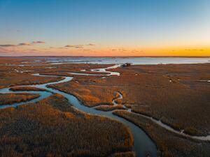 1098 Theodore Brunson Road Photo 16