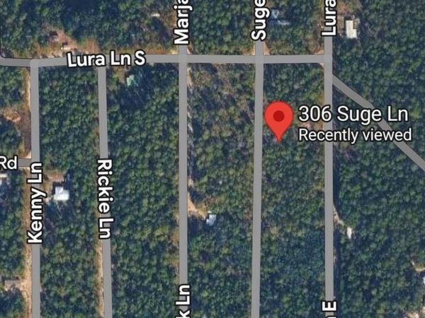 306 Suge Ln, Florahome, FL 32140