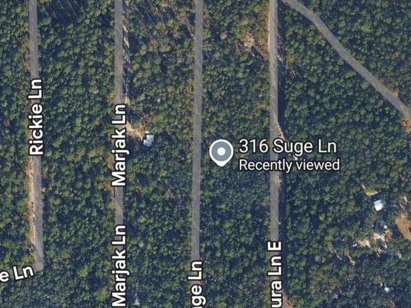 316 Suge Ln, Florahome, FL 32140