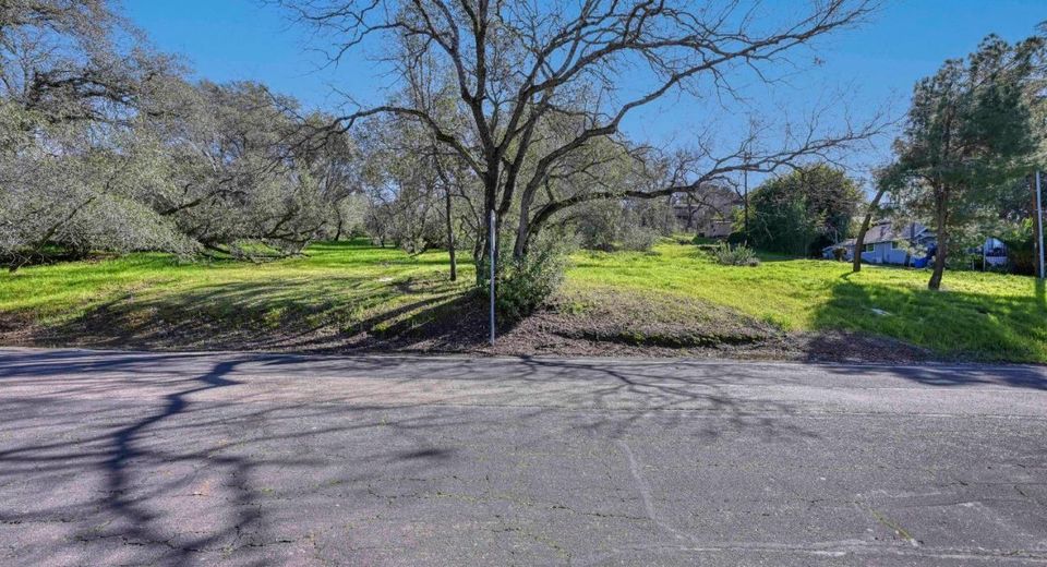 293 Leidesdorf St, Folsom, CA 95630 Photo