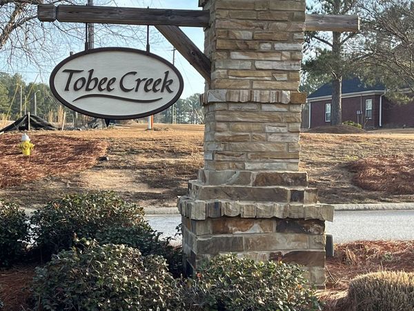 132 Tobee Drive, Lizella, GA 31052