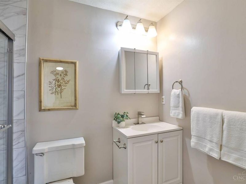 10 Woodside Court, Springdale, OH 45246 Photo 20