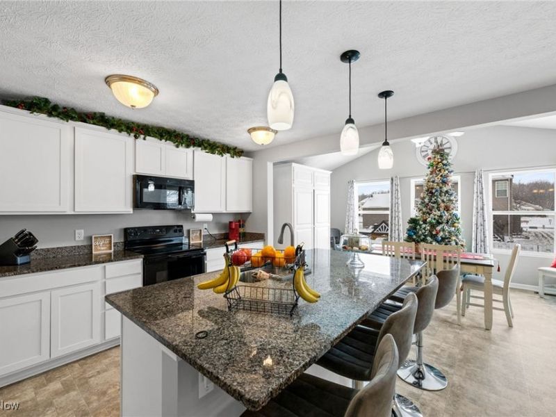 3502 Magnolia Drive, Lorain, OH 44053 Photo 14