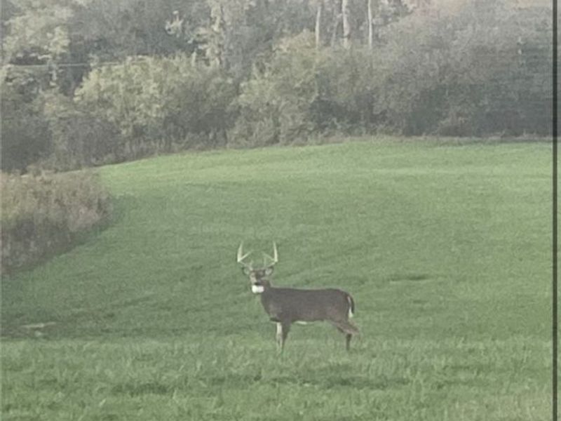 0 Monzula Road, Cadiz, OH 43907 Photo 5