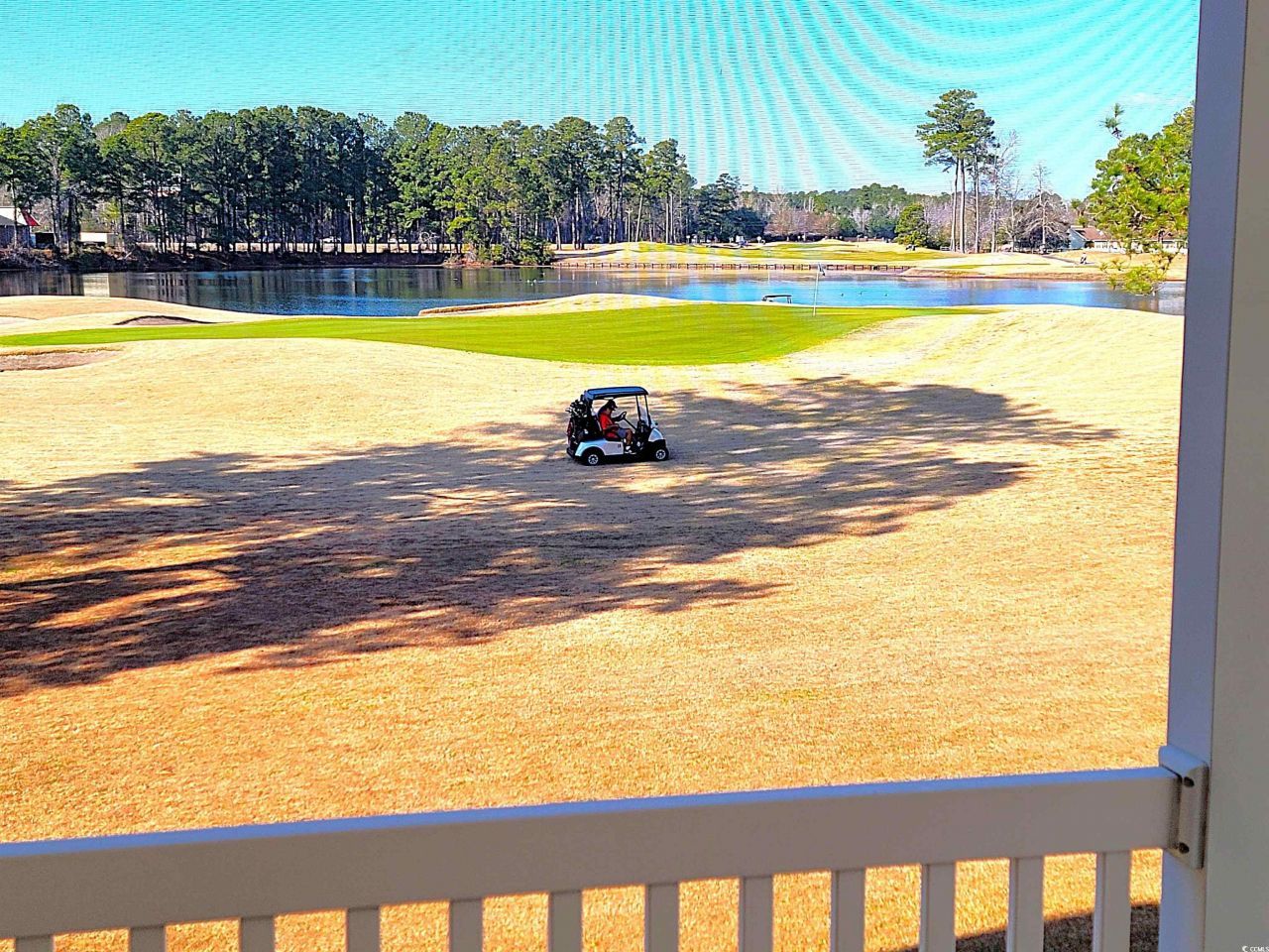 657 Tupelo Ln. Photo 23