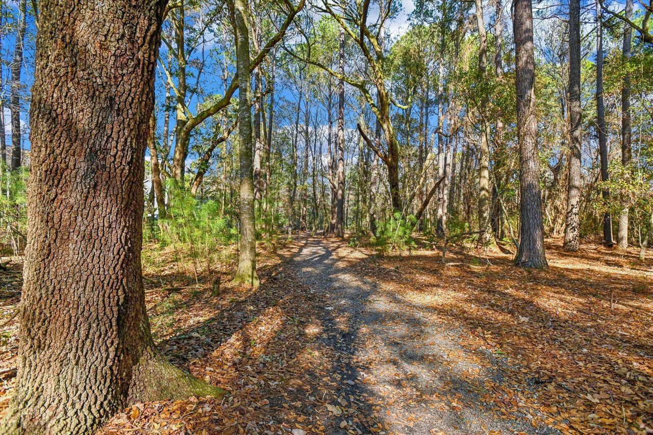 2917 Swamp Sparrow Circle Photo 35