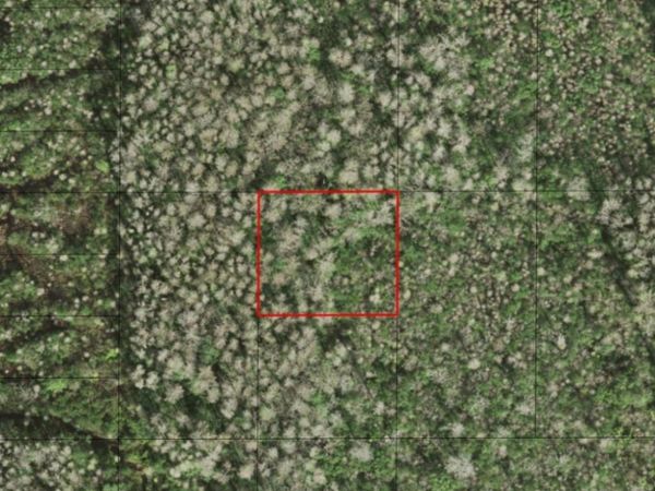 0 HOLOPAW GROVES RD, St. Cloud, FL 34772