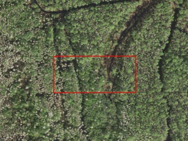 0 HOLOPAW GROVES RD, St. Cloud, FL 34772