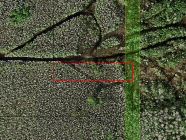 0 HOLOPAW GROVES RD, St. Cloud, FL 34772