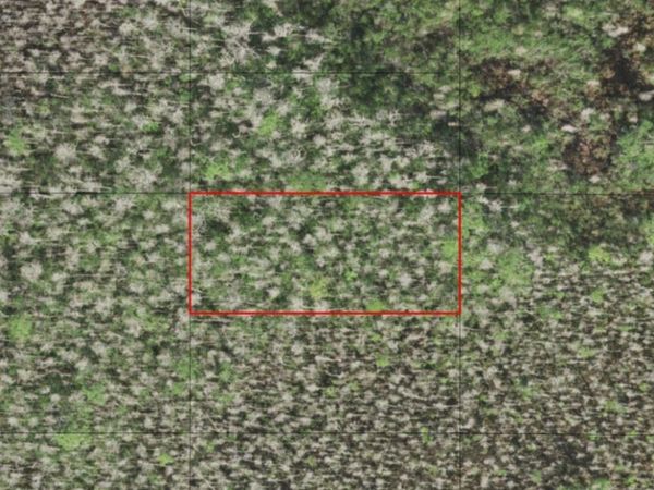 0 HOLOPAW GROVES RD, St. Cloud, FL 34772