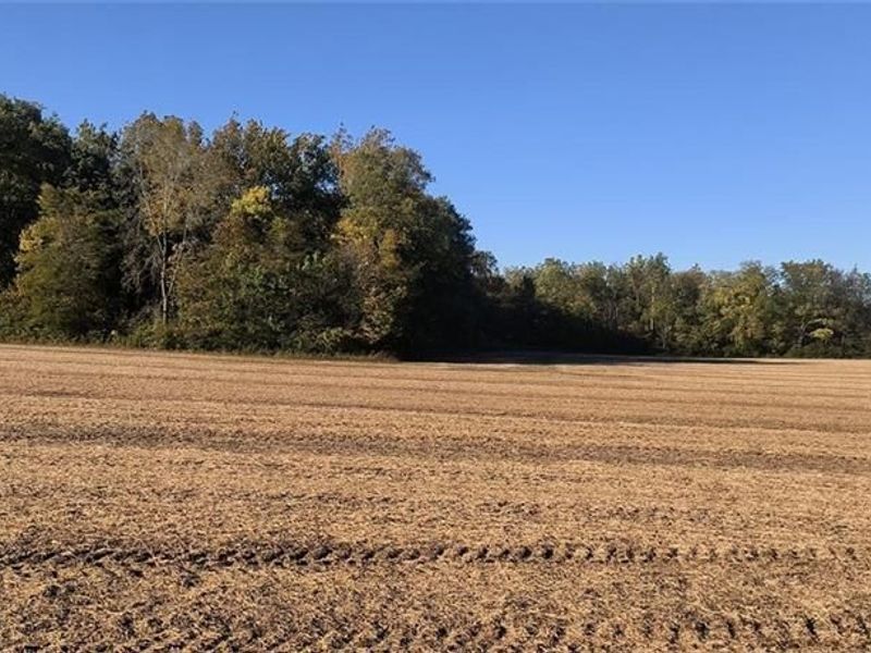 Tract 1 (of 5) N Bollinger Road, Casstown, OH 45312 Photo 12