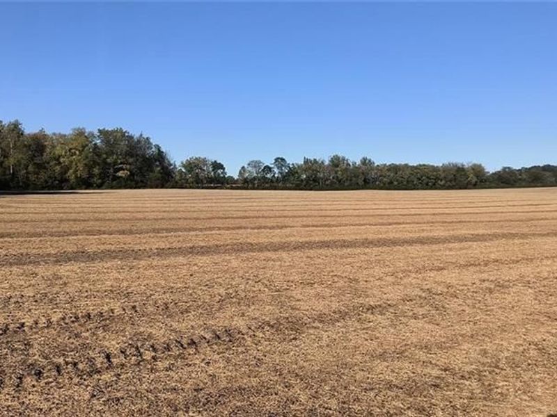 Tract 1 (of 5) N Bollinger Road, Casstown, OH 45312 Photo 6