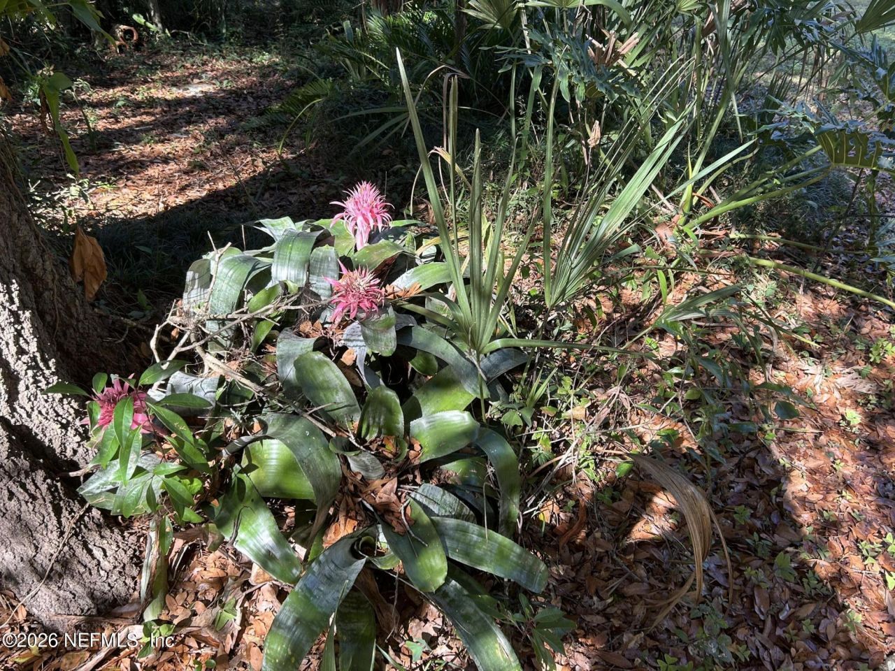 6116 Trout Street, Melrose, FL 32666 Photo