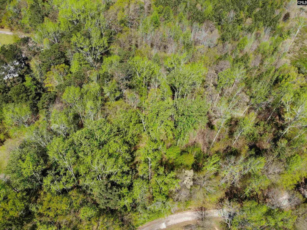 Tbd James Road Photo 49