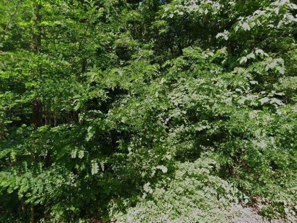 1740 W DODD RD, Memphis, TN 38109