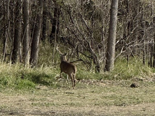 40 AC County Road U, Portage, WI 53901