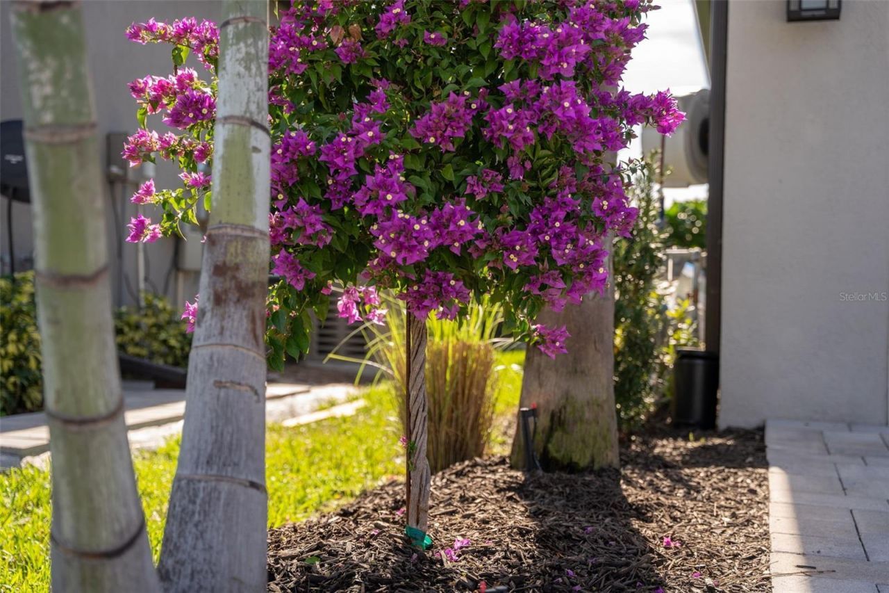 16106 Culpepper Drive, Lakewood Ranch, FL 34211 Photo