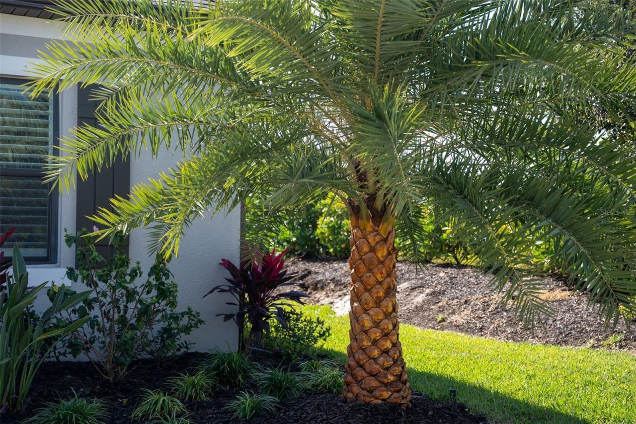 16106 Culpepper Drive, Lakewood Ranch, FL 34211 Photo