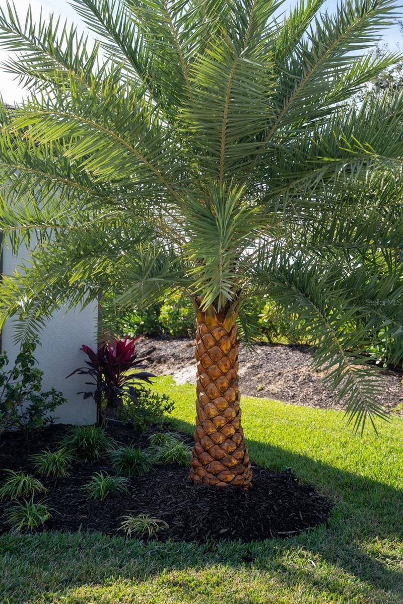 16106 Culpepper Drive, Lakewood Ranch, FL 34211 Photo