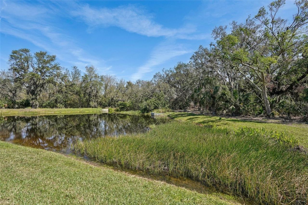 10802 Seasons Way, Palmetto, FL 34221 Photo