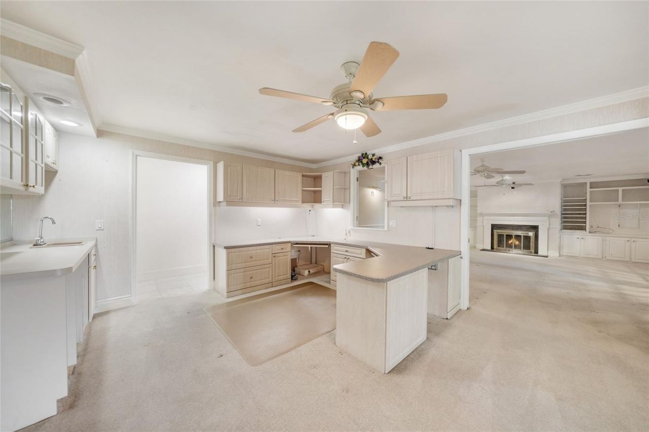 24358 SW Kingsway Circle, Lake Suzy, FL 34269 Photo