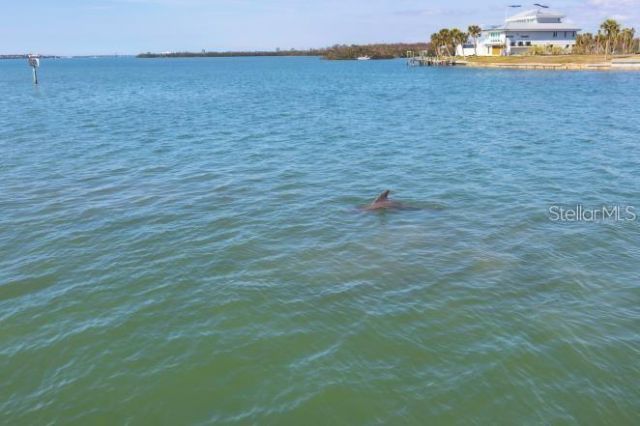 1906 Mississippi Avenue, Englewood, FL 34224 Photo