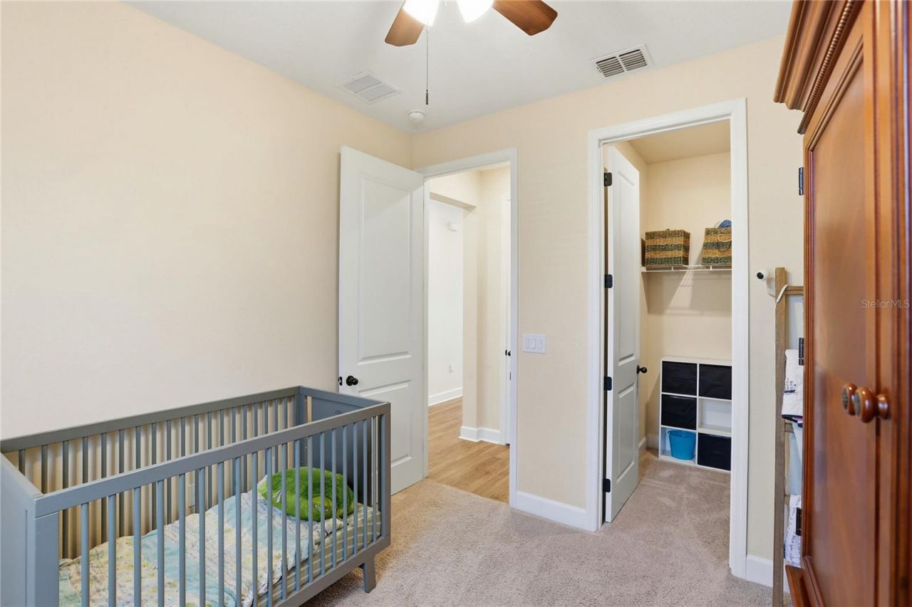 4009 Swan Goose Court, Okahumpka, FL 34762 Photo