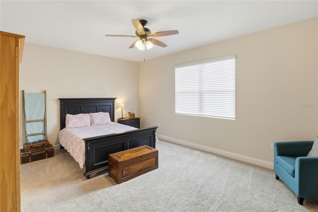 4009 Swan Goose Court, Okahumpka, FL 34762 Photo