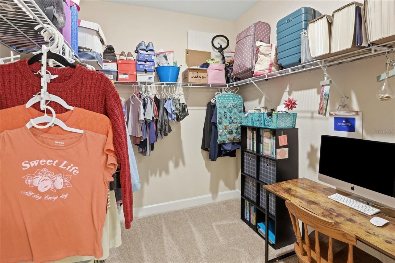 4009 Swan Goose Court, Okahumpka, FL 34762 Photo