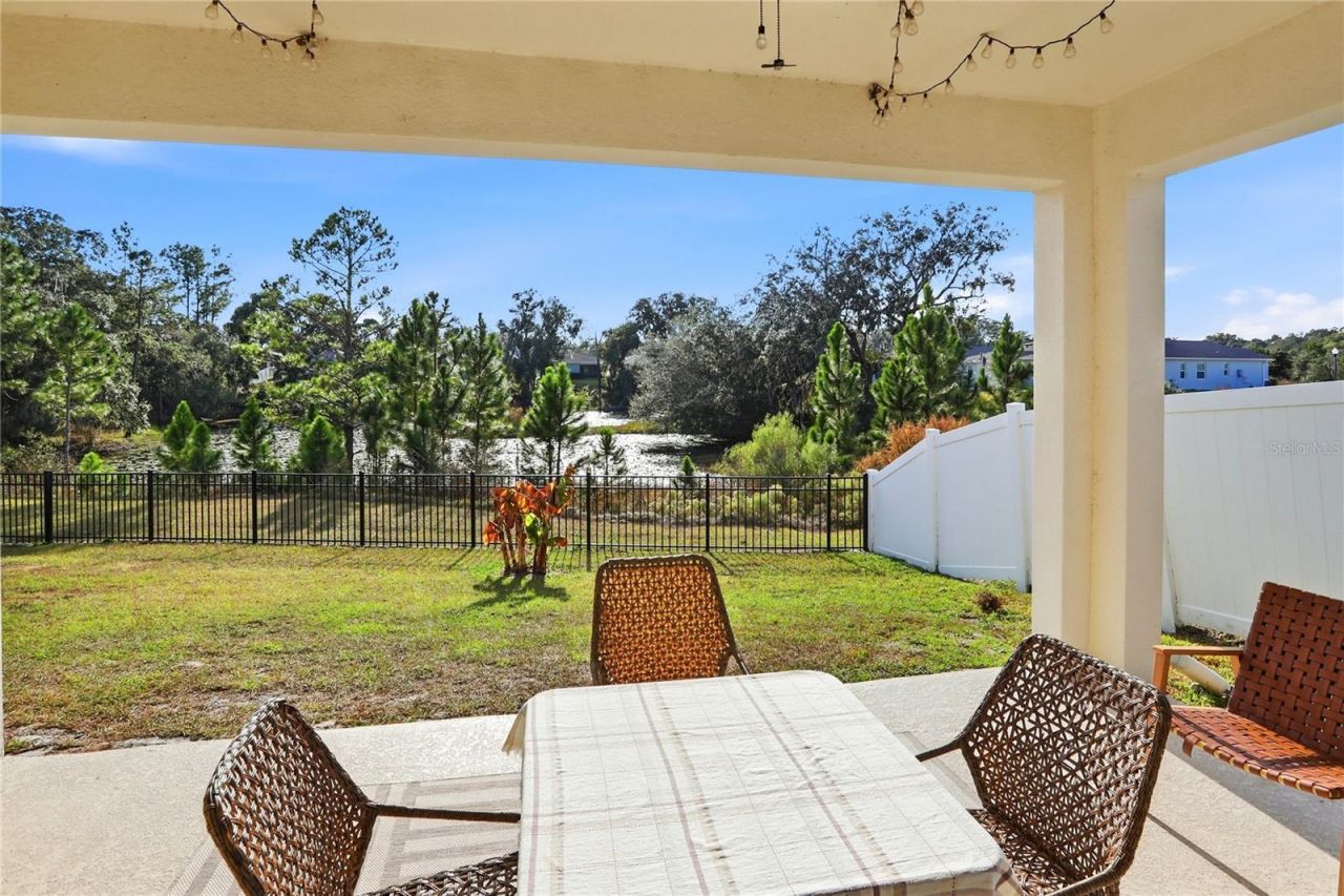 4009 Swan Goose Court, Okahumpka, FL 34762 Photo