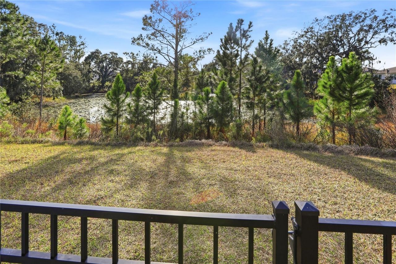 4009 Swan Goose Court, Okahumpka, FL 34762 Photo