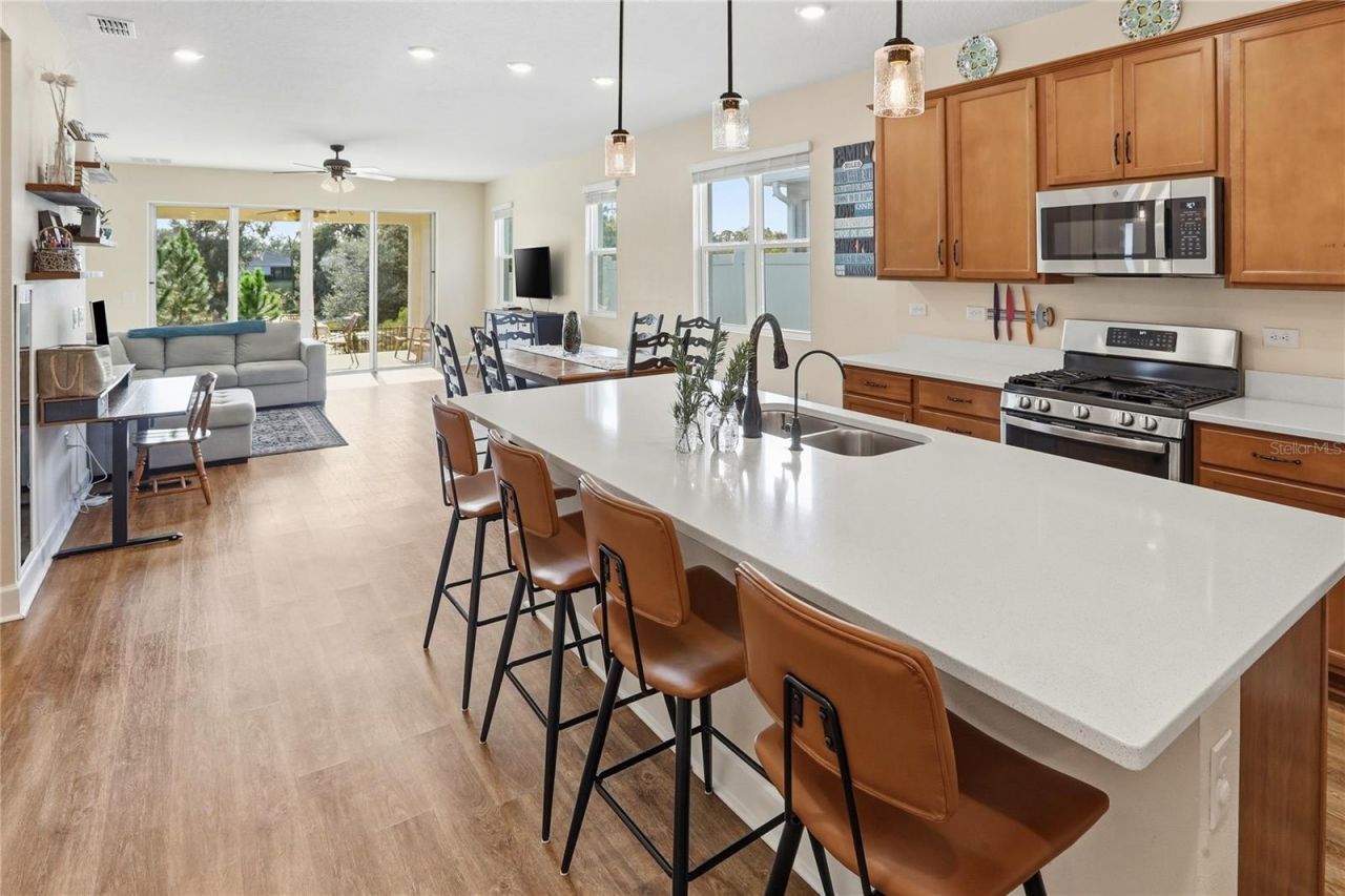 4009 Swan Goose Court, Okahumpka, FL 34762 Photo