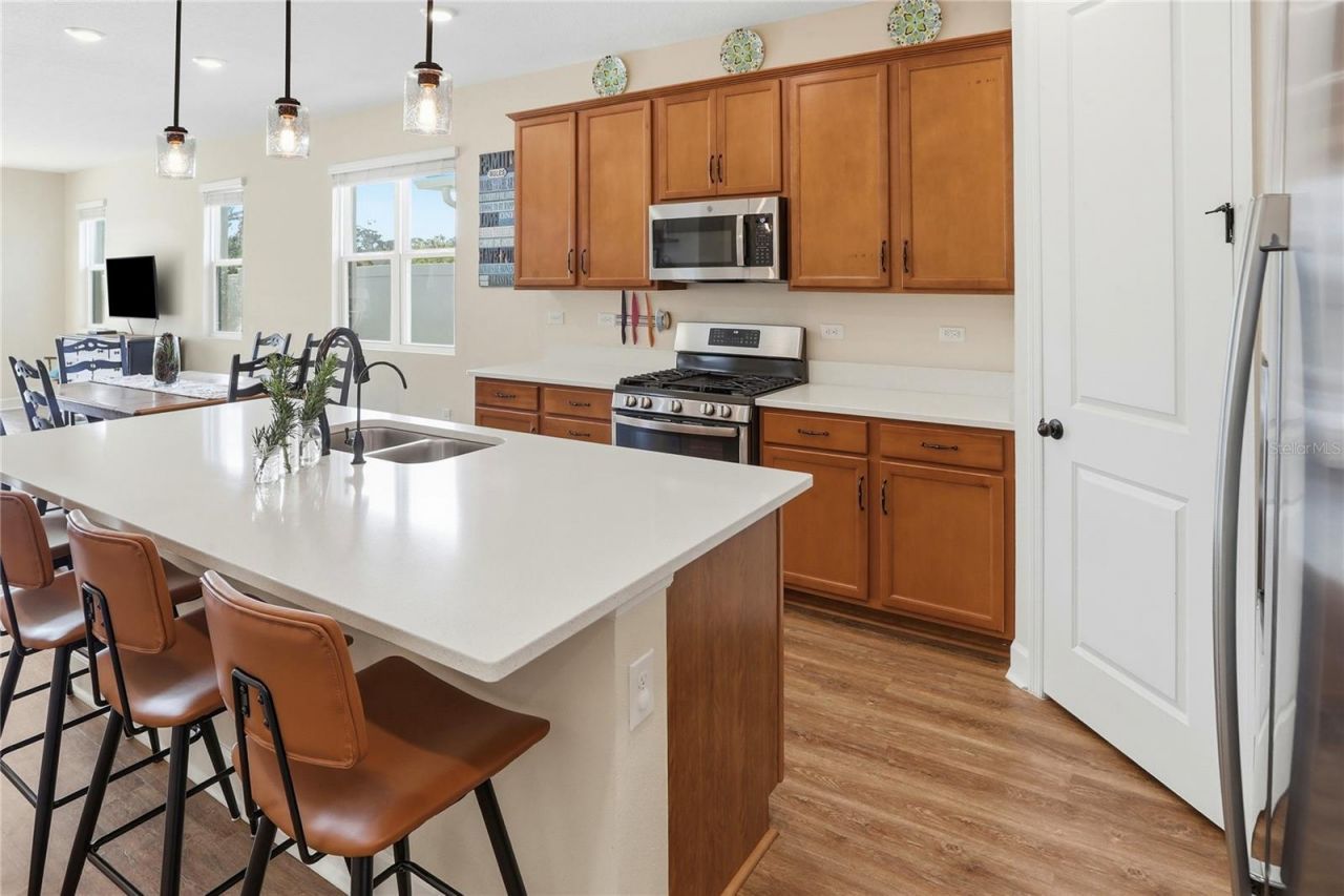 4009 Swan Goose Court, Okahumpka, FL 34762 Photo