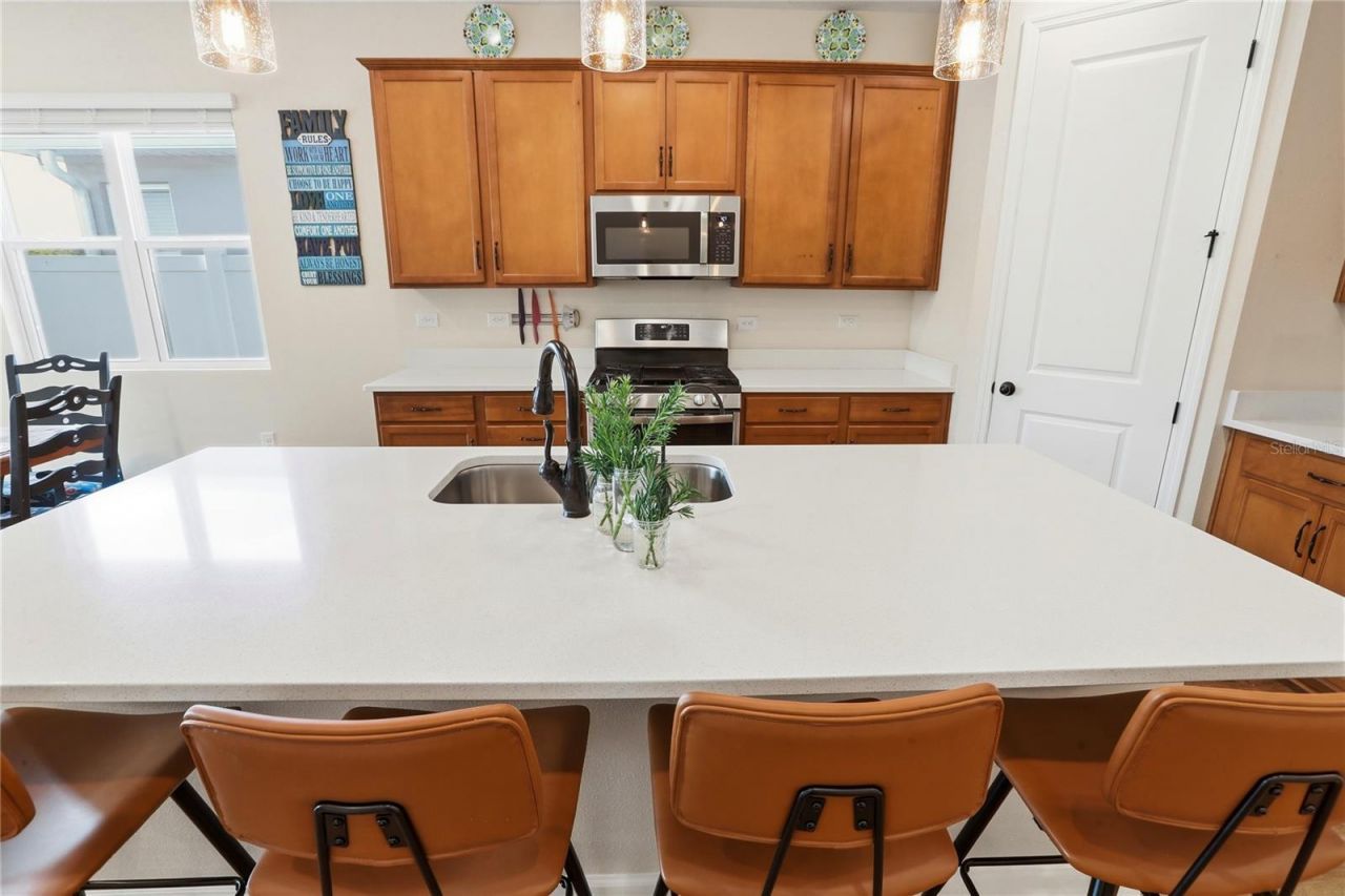 4009 Swan Goose Court, Okahumpka, FL 34762 Photo