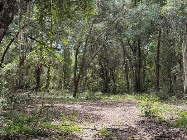 LADY LAKE, FL 32159