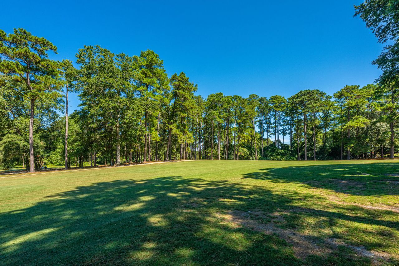 229 Cooper Drive Photo 58