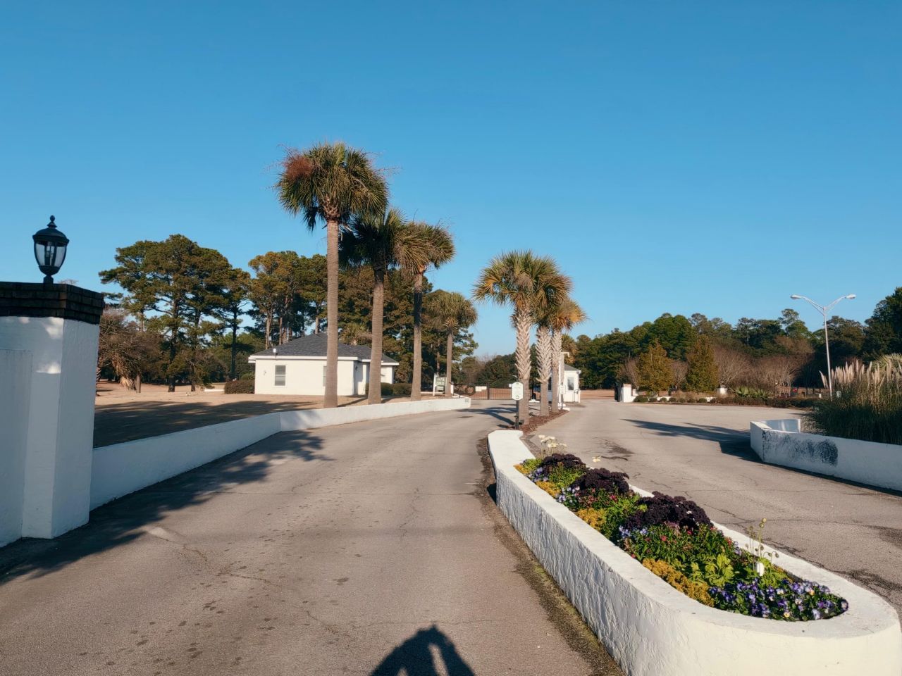 229 Cooper Drive Photo 6