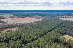 122 Deer Run Avenue photo 4