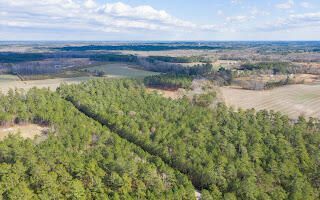 122 Deer Run Avenue Photo 5