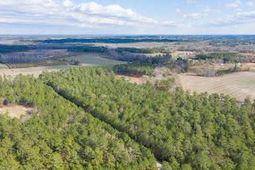 122 Deer Run Avenue photo 4