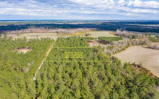 122 Deer Run Avenue Photo 6