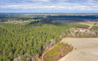 122 Deer Run Avenue Photo 7