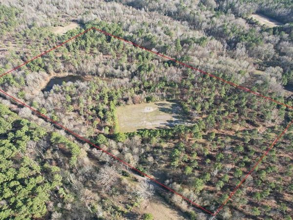 TBD-C County Road 216, Beckville, TX 75631