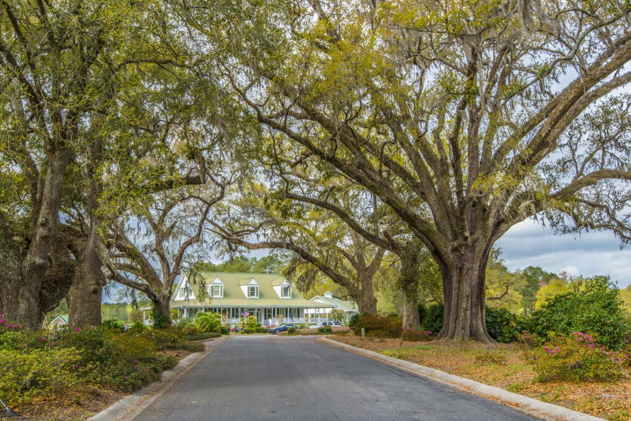 102 Corral Circle Photo 48